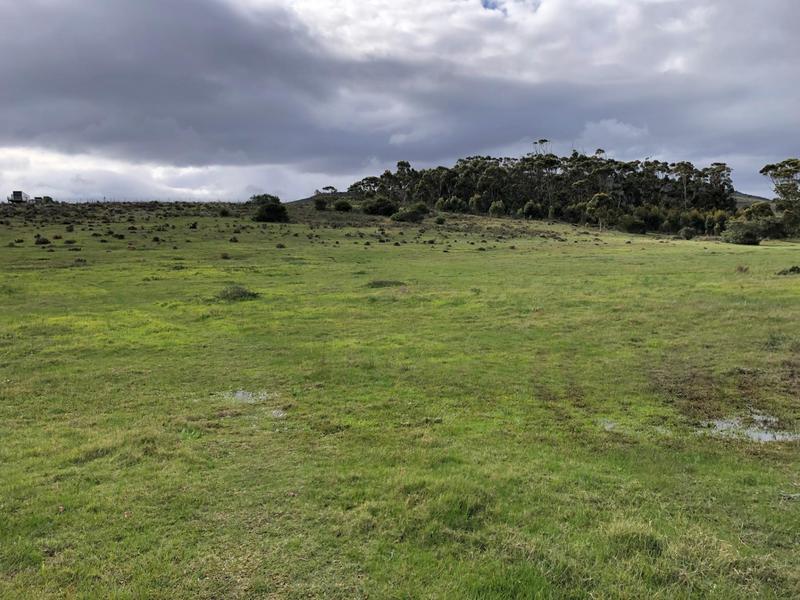 0 Bedroom Property for Sale in Baardskeerdersbos Western Cape